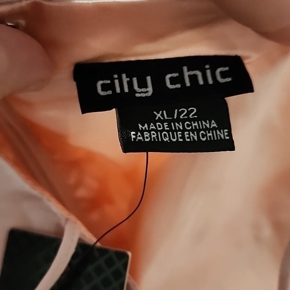 City Chic Powder‎ Floral mauve Maxi Dres plus size XL 22 new!! - Picture 13 of 13